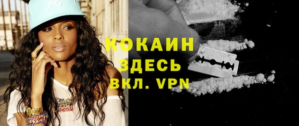 индика Заводоуковск