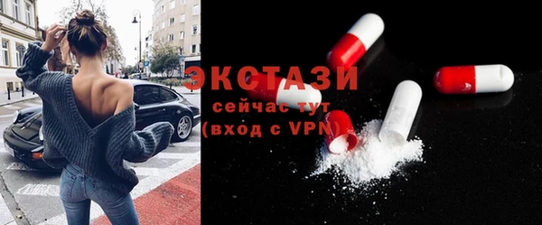 индика Заводоуковск