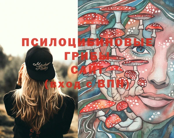 индика Заводоуковск