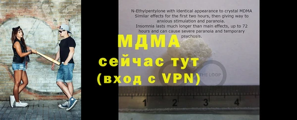 индика Заводоуковск