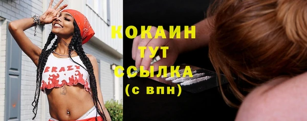гидра Заволжск