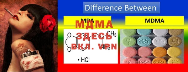 индика Заводоуковск