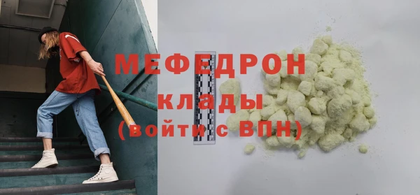 индика Заводоуковск