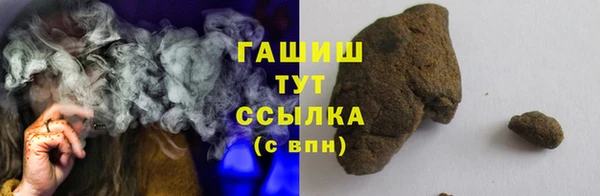 индика Заводоуковск
