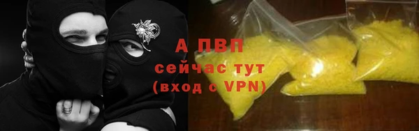 индика Заводоуковск