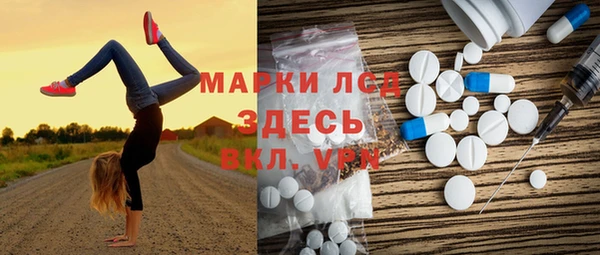 индика Заводоуковск