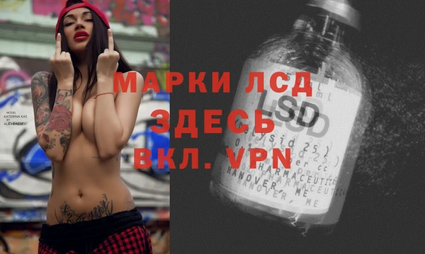 индика Заводоуковск