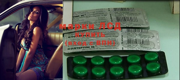индика Заводоуковск