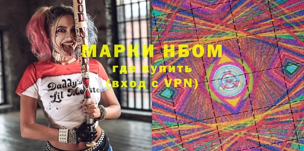 индика Заводоуковск