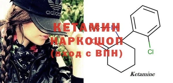 индика Заводоуковск