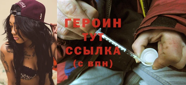 индика Заводоуковск
