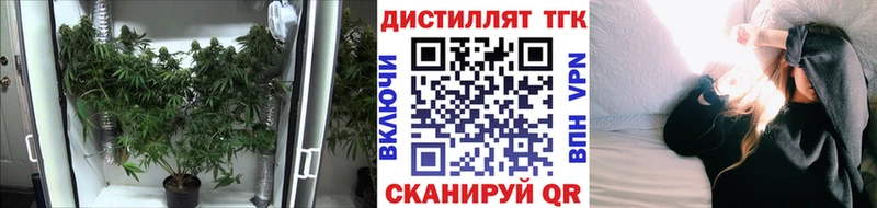 как найти   Наволоки  Дистиллят ТГК Wax 