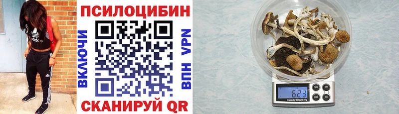 Псилоцибиновые грибы Psilocybe  где можно купить   Наволоки 