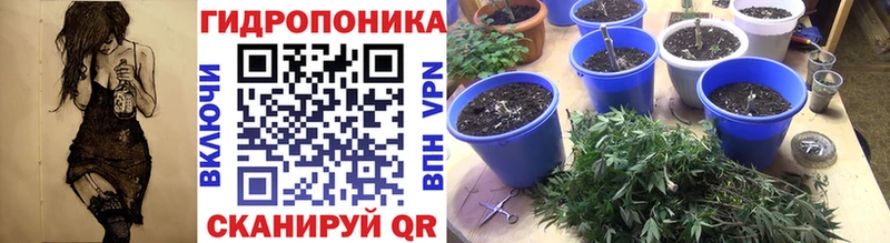 Шишки марихуана AK-47 Наволоки