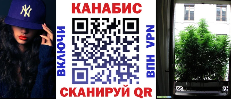 Шишки марихуана сатива  omg как зайти  Наволоки 